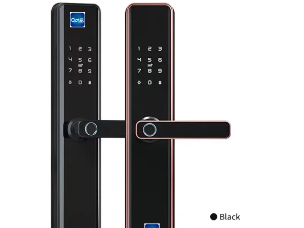 QS818
